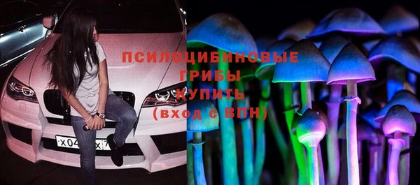 молекула духа Беломорск