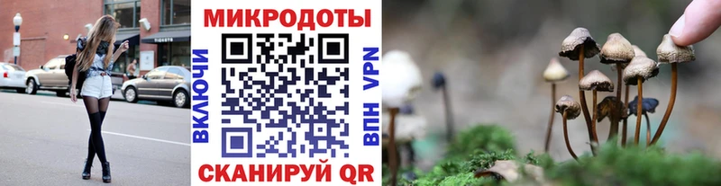 Галлюциногенные грибы мухоморы Волгореченск